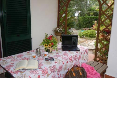 Casa Neda