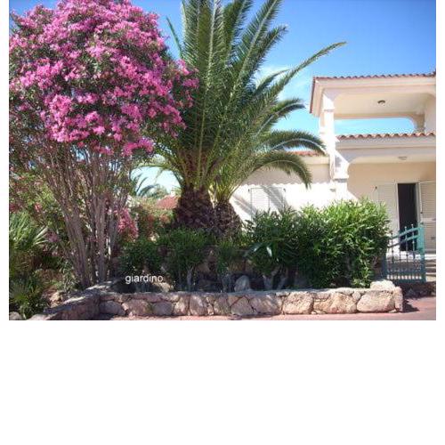 Casa Oleandro