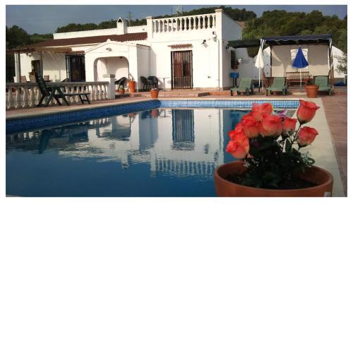 Casa Olivo