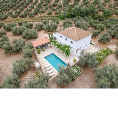 Casa Olivo