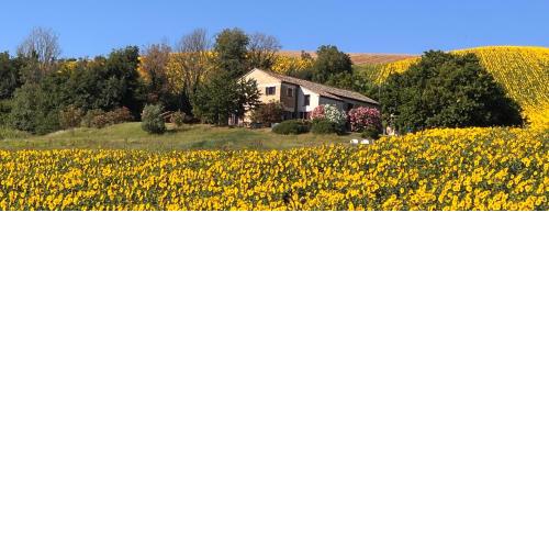 Casa Onda
