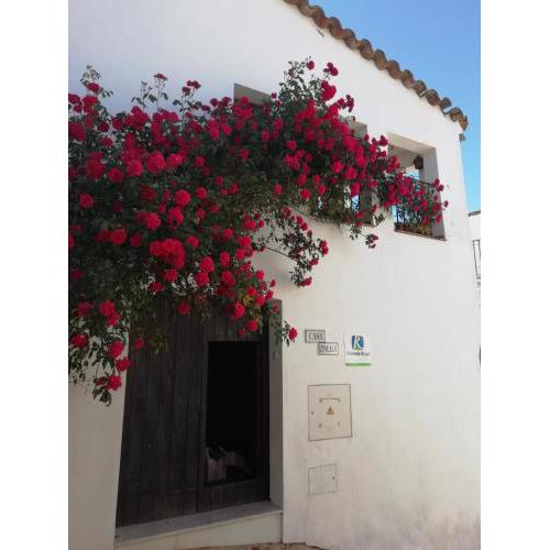 CASA ONUBA