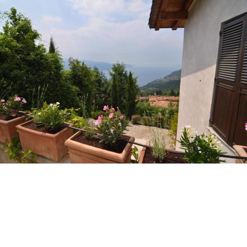 Casa Ora