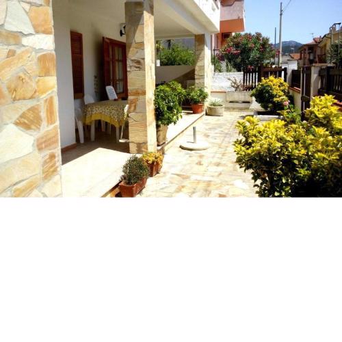 casa orchidea