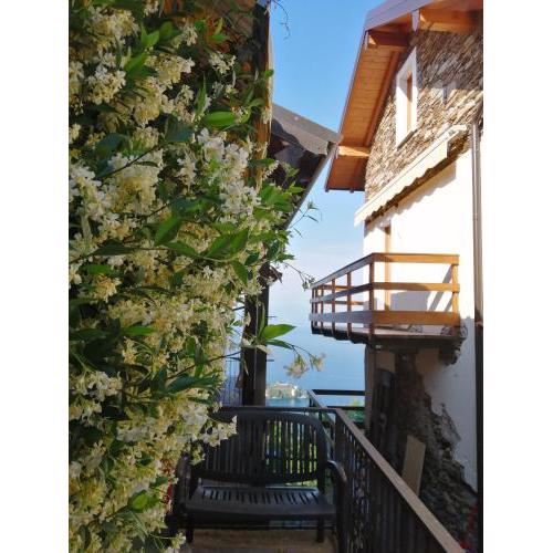Casa Orfea