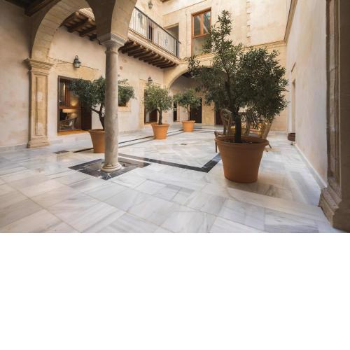 CASA PALACIO SUR II