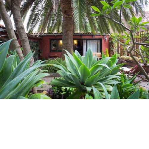 Casa Palmera