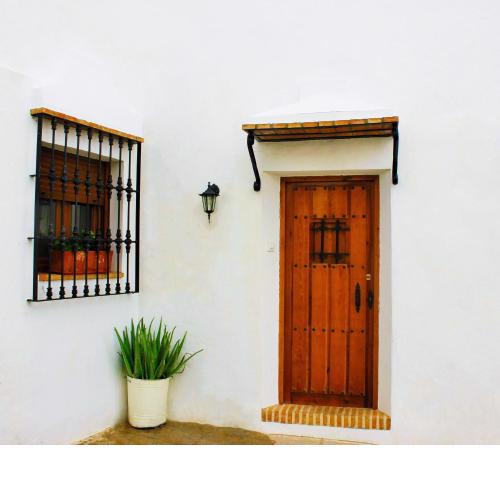 Casa Pangea