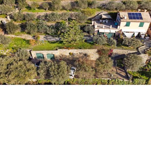 Casa Paradise
