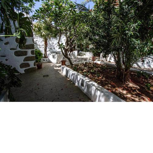Casa Patio Canario SXVII