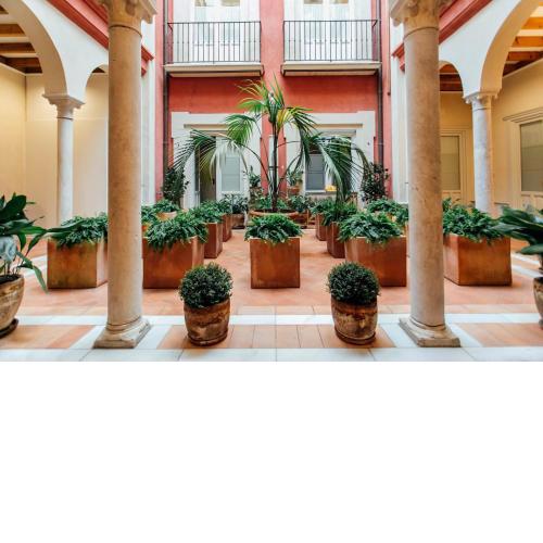 Casa Patio del Siglo XIX