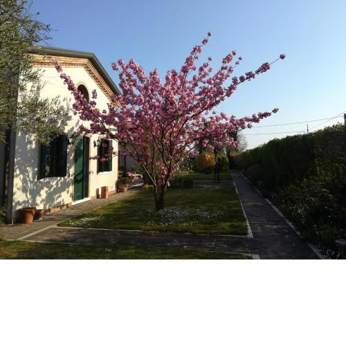 Casa Pianta