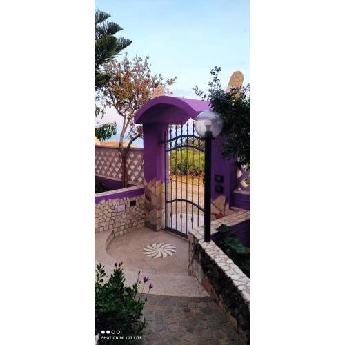 Casa Purple