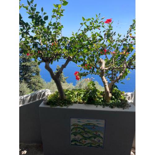 Casa Reverie - Amalfi Coast