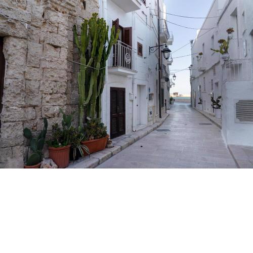 CASA ROBERTO