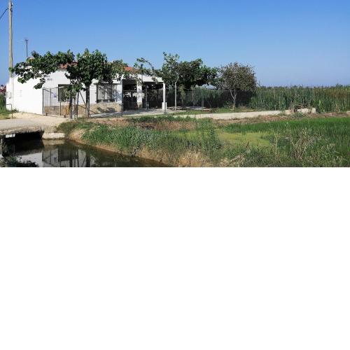 Casa Rous-Riumar 1