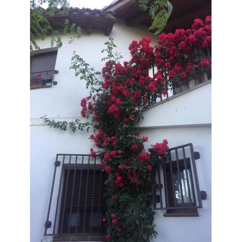 Casa Rural - Al Alba