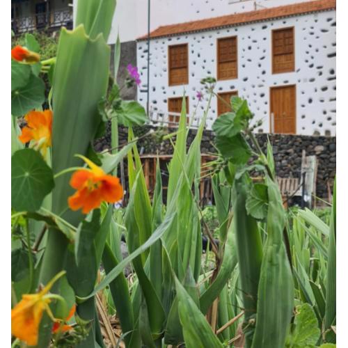 CASA RURAL ANTIGUA ESCUELA I