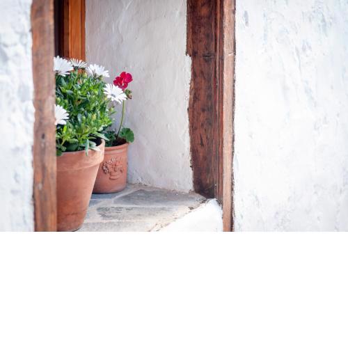 CASA RURAL ARONA Eco Hotel Vegetariano Vegano