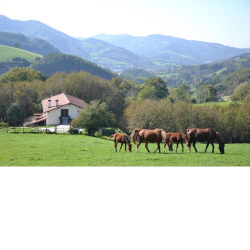 CASA RURAL Arriaran