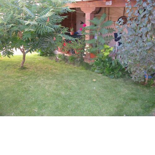 Casa Rural Arturo I