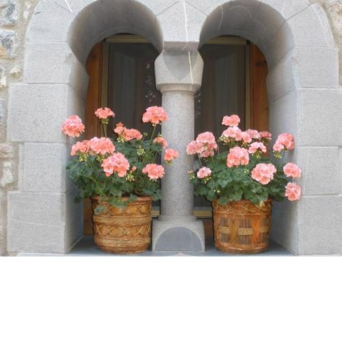 CASA RURAL casa PELENTOS