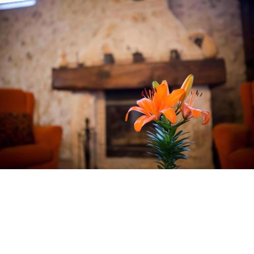 Casa Rural Casona la Beltraneja