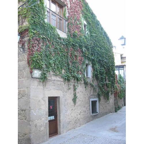 Casa Rural Corvina