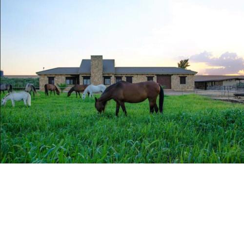 Casa Rural Ecuestre