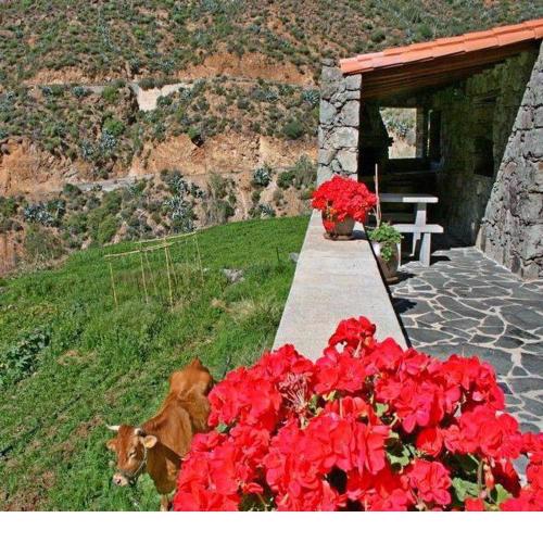 Casa rural El Coronel