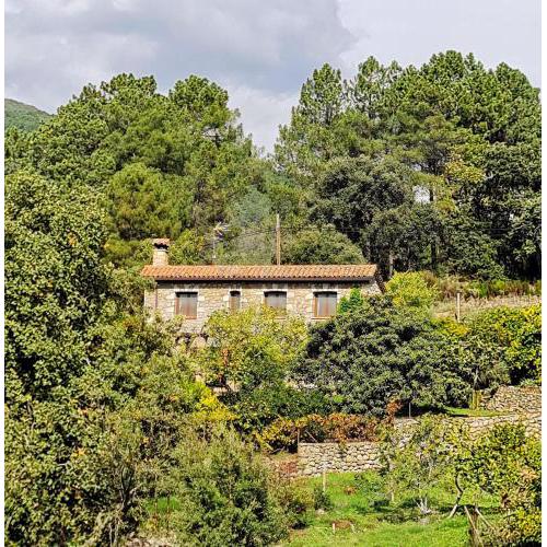 Casa Rural en Candeleda con piscina y un maravilloso jardín