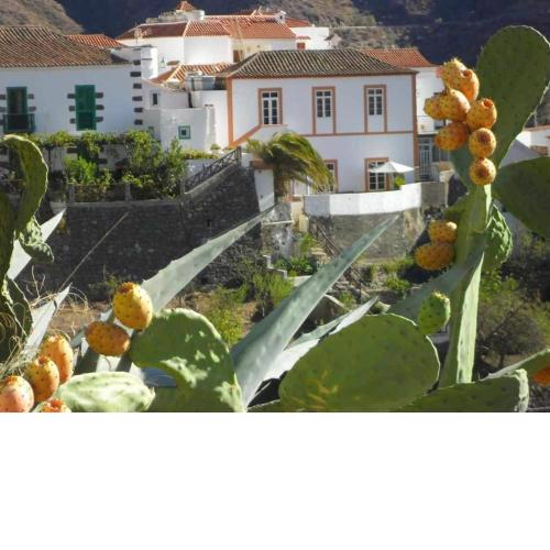 Casa Rural Las Cáscaras Tejeda Gran Canaria