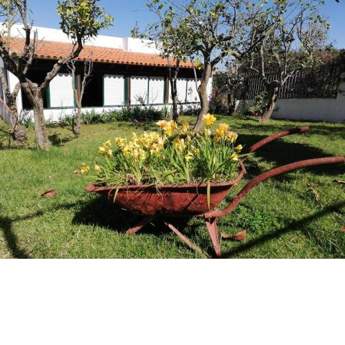 CASA RURAL LIMÓN Y SOL