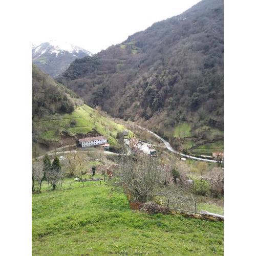Casa Rural OSO 1