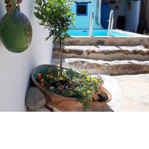 Casa Rural tía Salomé