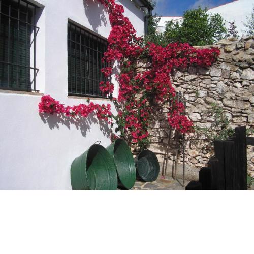 Casa Rural y Restaurante Casa Adriano