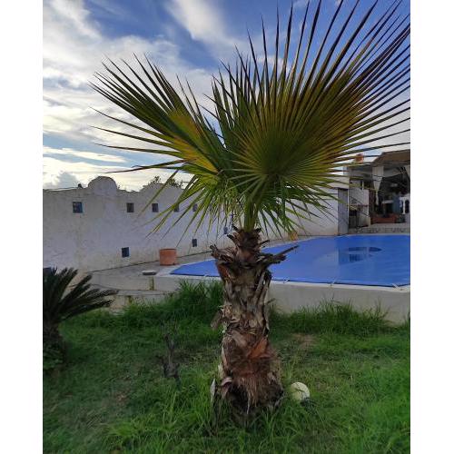Casa Rustica in Andalusien Bollullos Par Del Condado