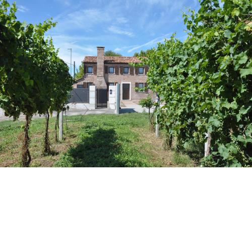 Casa Sansovino