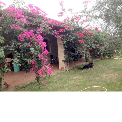 Casa Santina