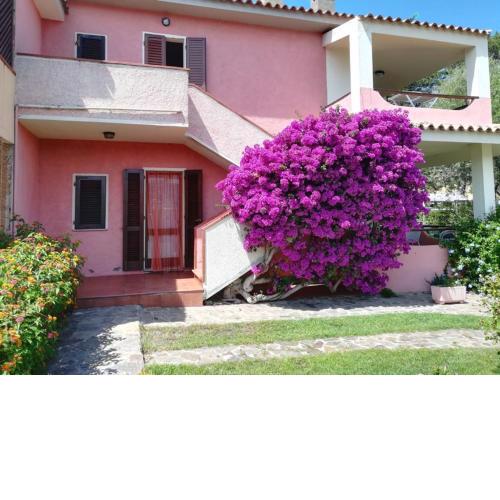 Casa Smeralda