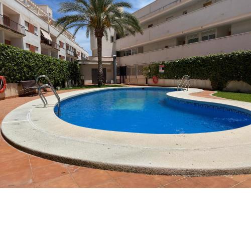 Casa Soul Palm