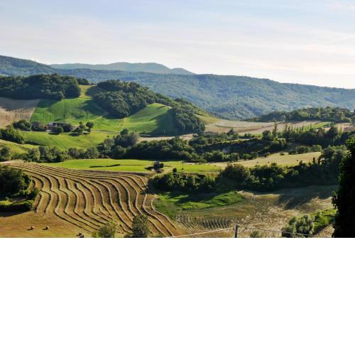 CASA STEFANIA, APPARTAMENTO IN COLLINA
