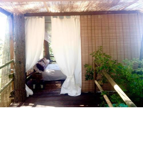 Casa sull'albero - Only for lovers Experience -