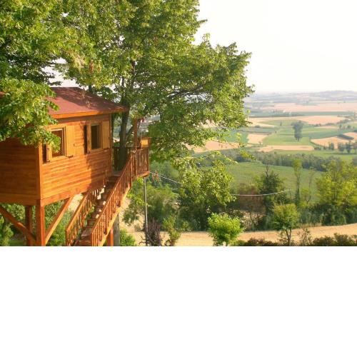 Casa sull'Albero Aromantica