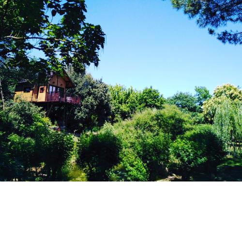 Casa sull'Albero Awen - Casa Vacanze