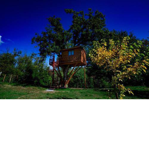 Casa sull'albero Bocchineri