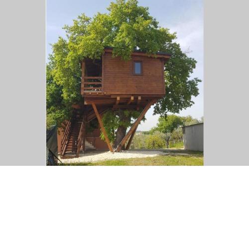Casa sull'Albero Treehouse Costa dei Trabocchi