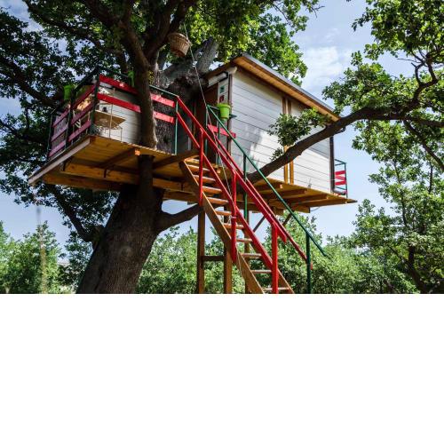 Casa sull'Albero