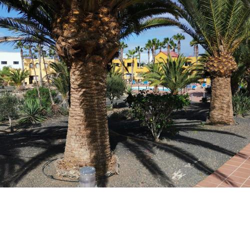 casa Sun&Sand Corralejo