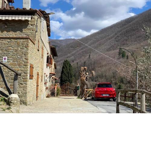 Casa Tasso